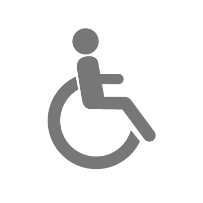 Wheelchair Icon Gray